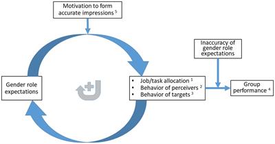 Frontiers | The Flywheel Effect of Gender Role Expectations in Diverse